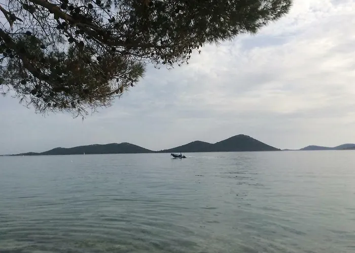 The Sea Drage