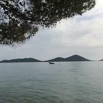 The Sea Drage