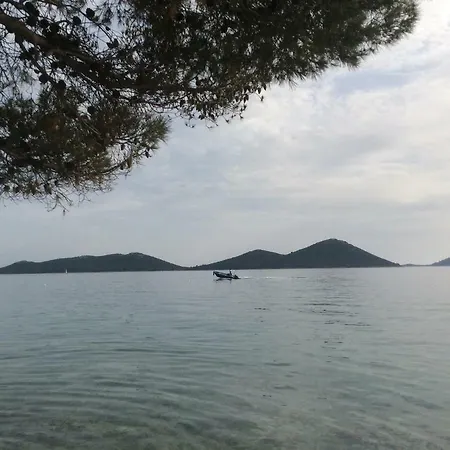 The Sea Drage